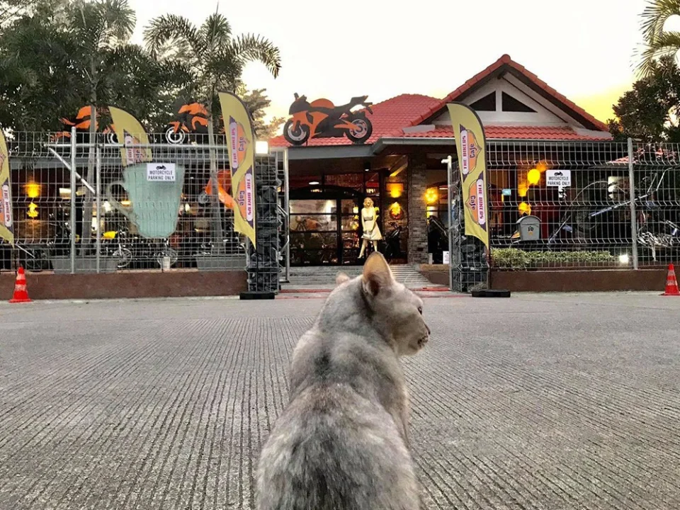 A January evening at The Bikers Café